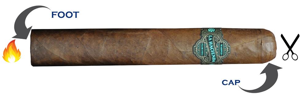 Infographic showing where to cut a cigar